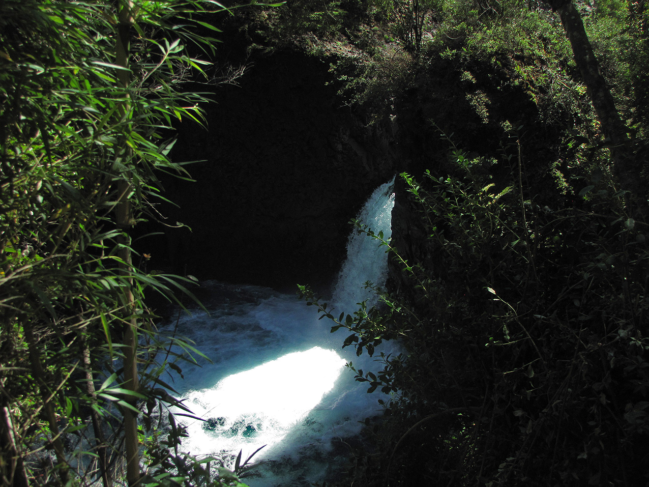 Sendero Botánico