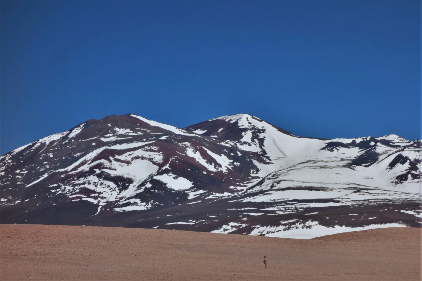 Volcán Boris Kraizel Loy