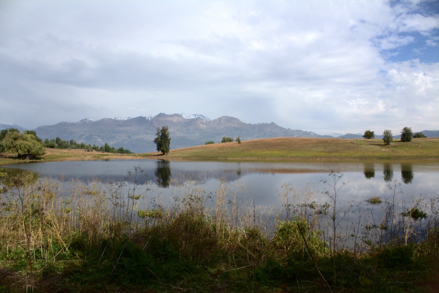 Laguna del Venado