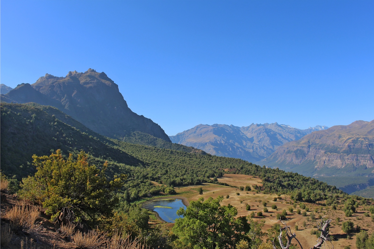 Laguna del Venado