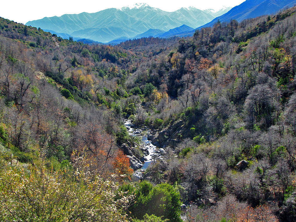 Vuelta de la Turca