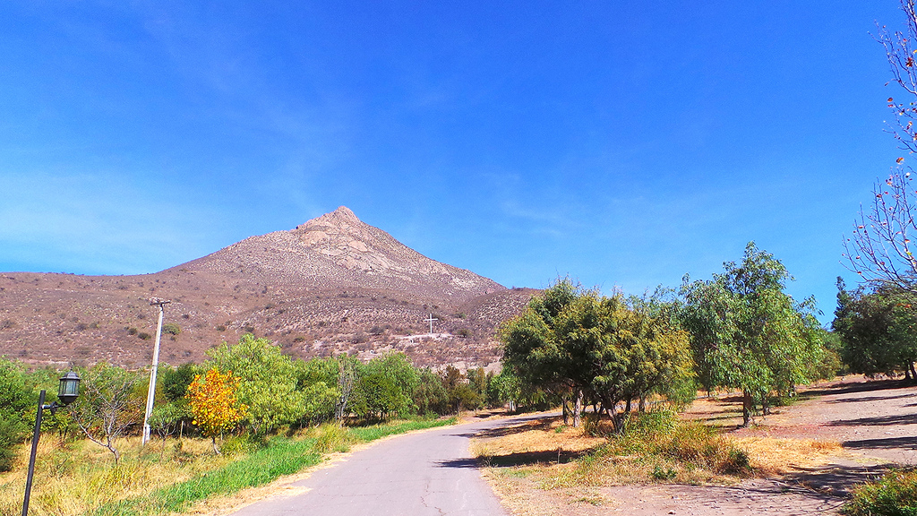 Cerro El Carmelo