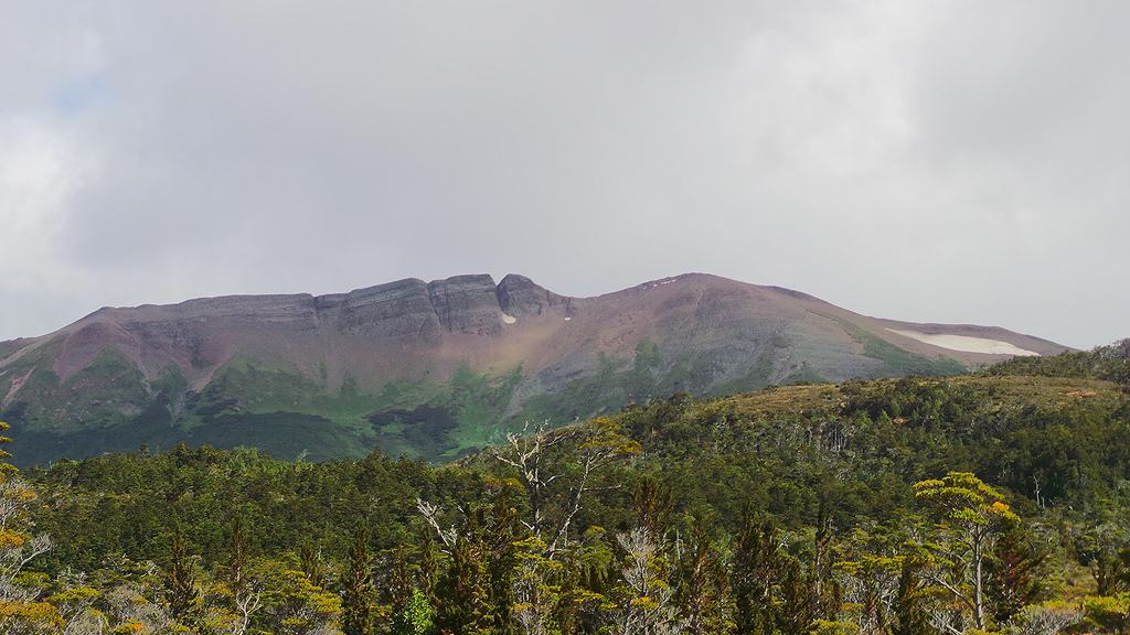 Monte Tarn