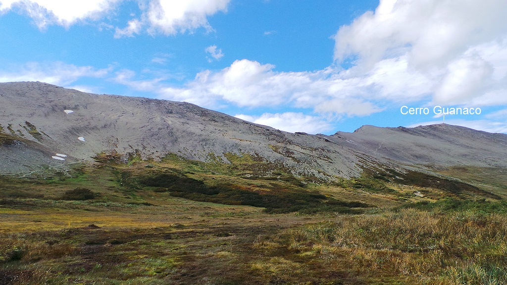 Cerro Guanaco