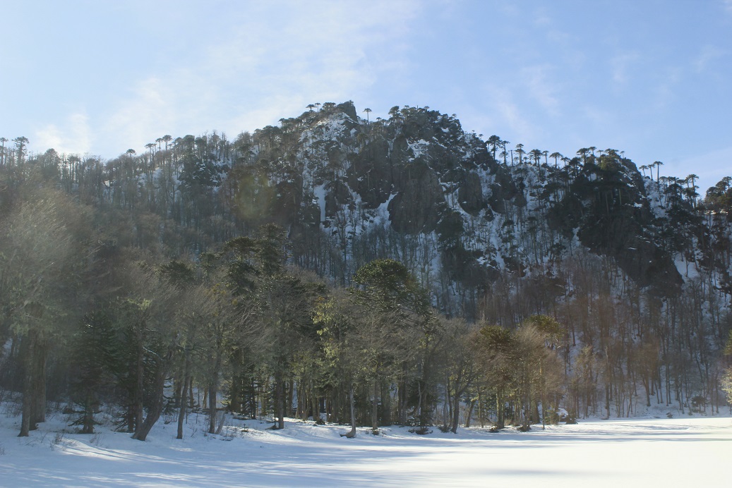 Cerro Mirador del Cañi