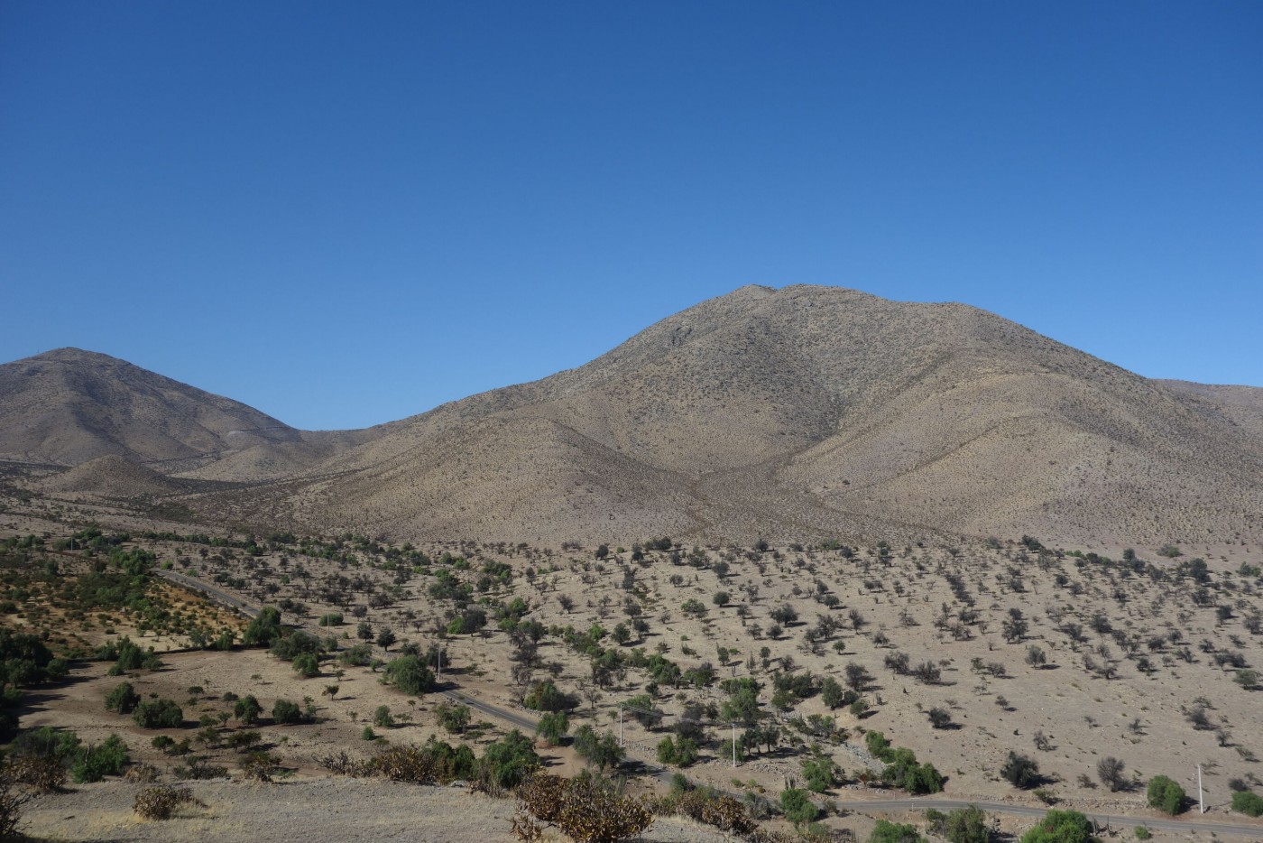 Morro del Chivato (Petorca)