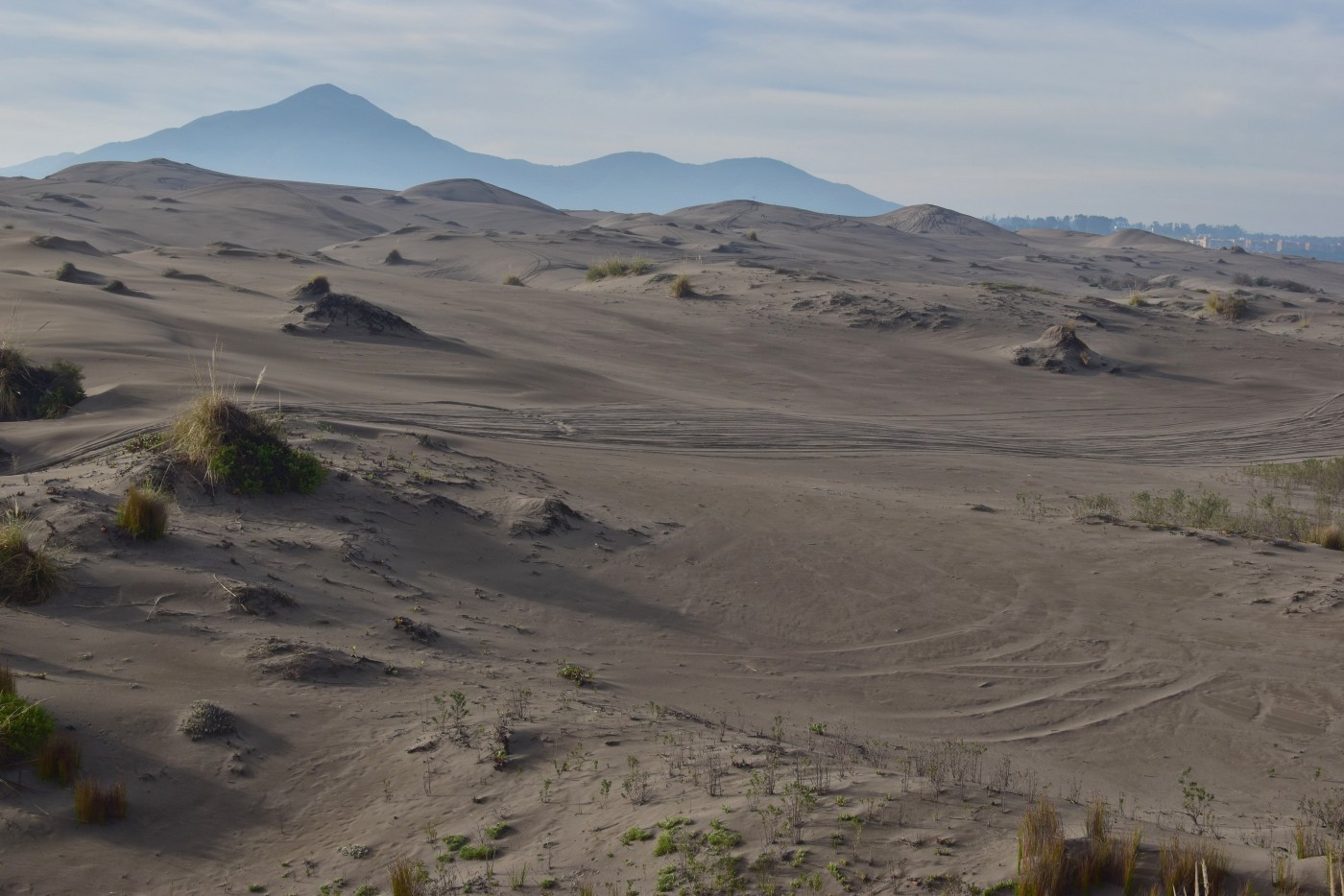 Campo Dunar de Ritoque