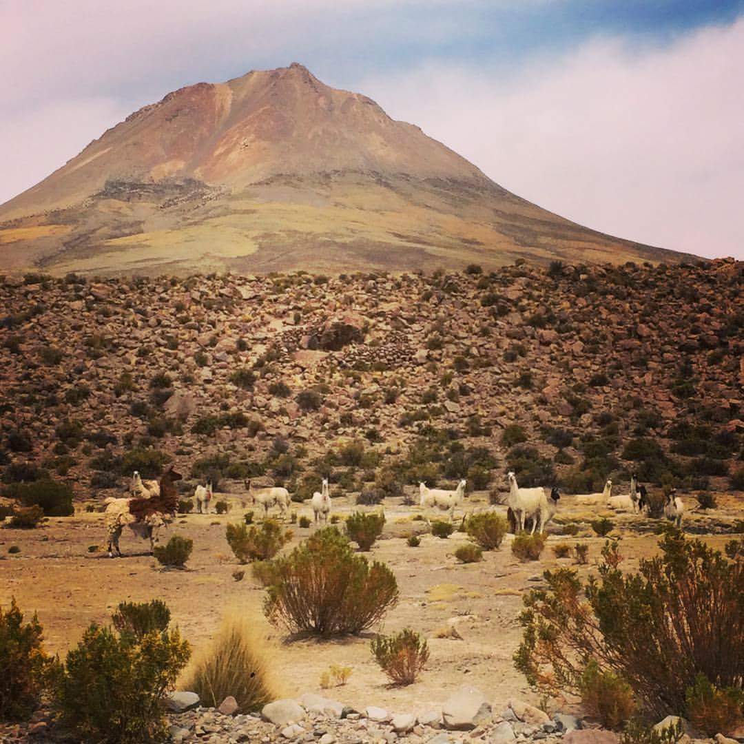 Volcán Cariquima