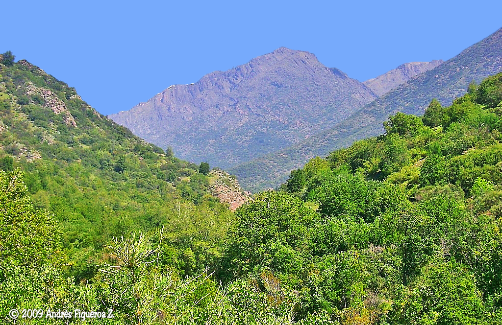 Cerro Las Lámparas