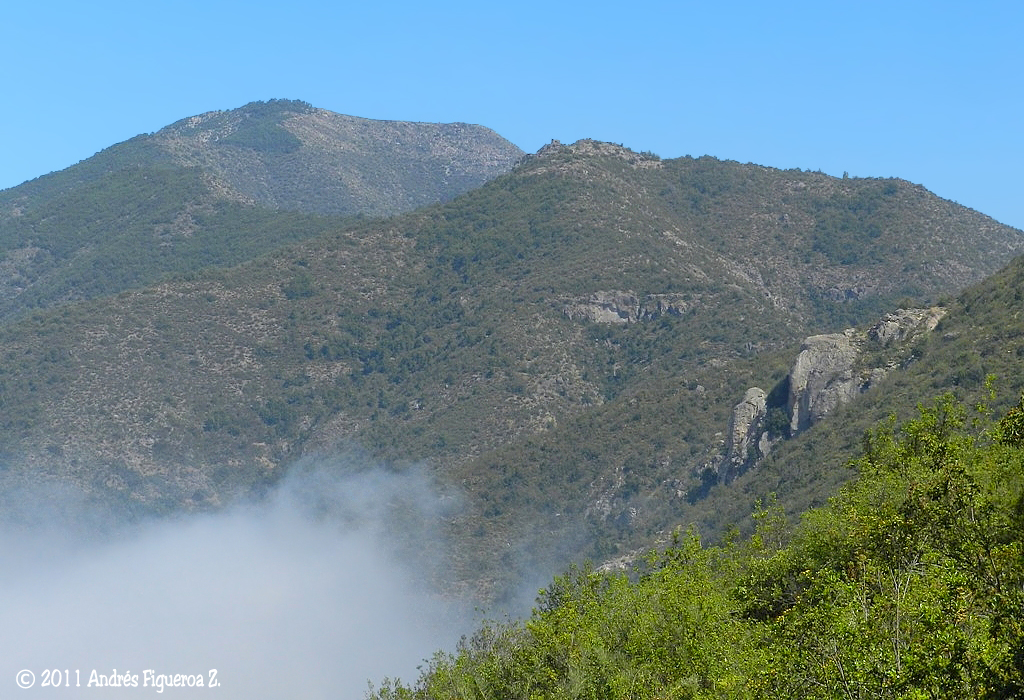 Cerro Alto del Llivi Llivi