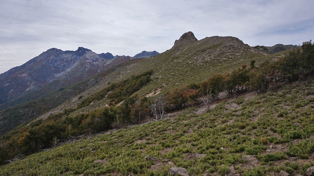 Cerro Los Picudos