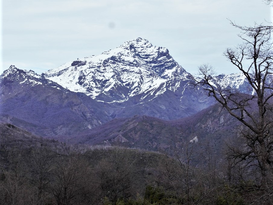 Cerro Enriscadero