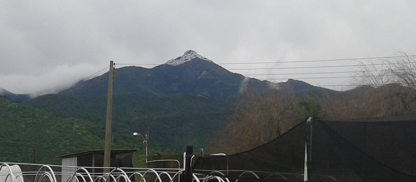 Cerro La Campanita