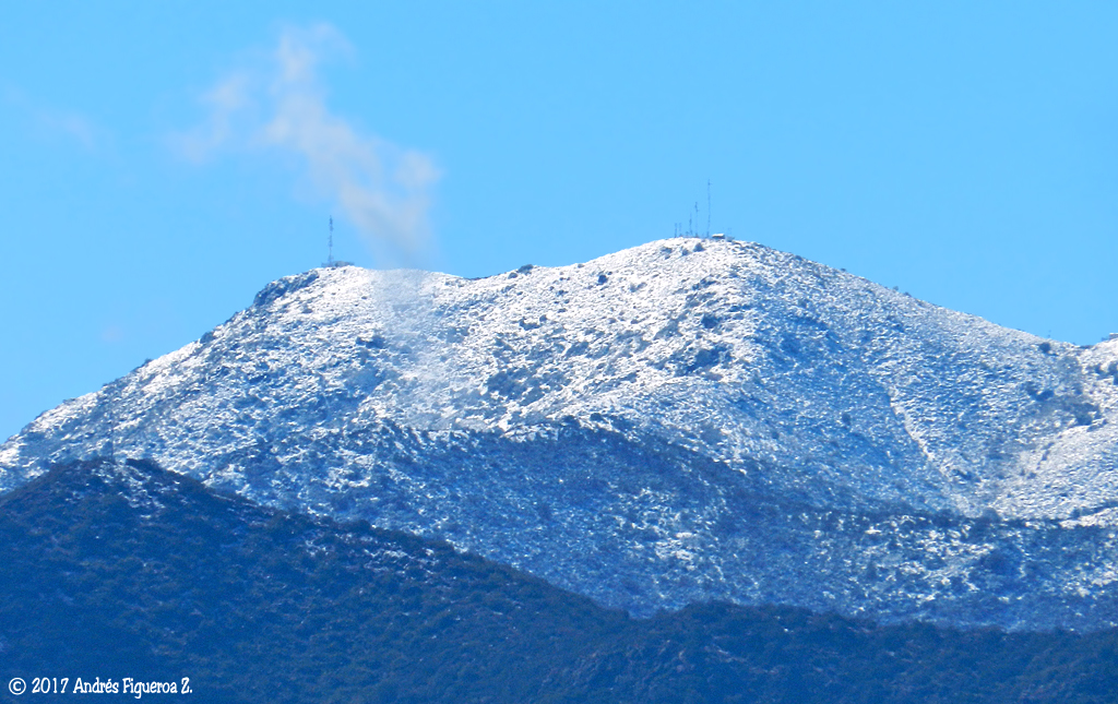 Cerro Alto Los Canelos