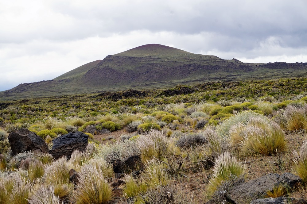 Cerro Mellizo Sur