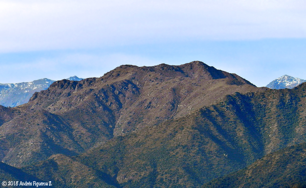 Cerro Alto Los Lunes