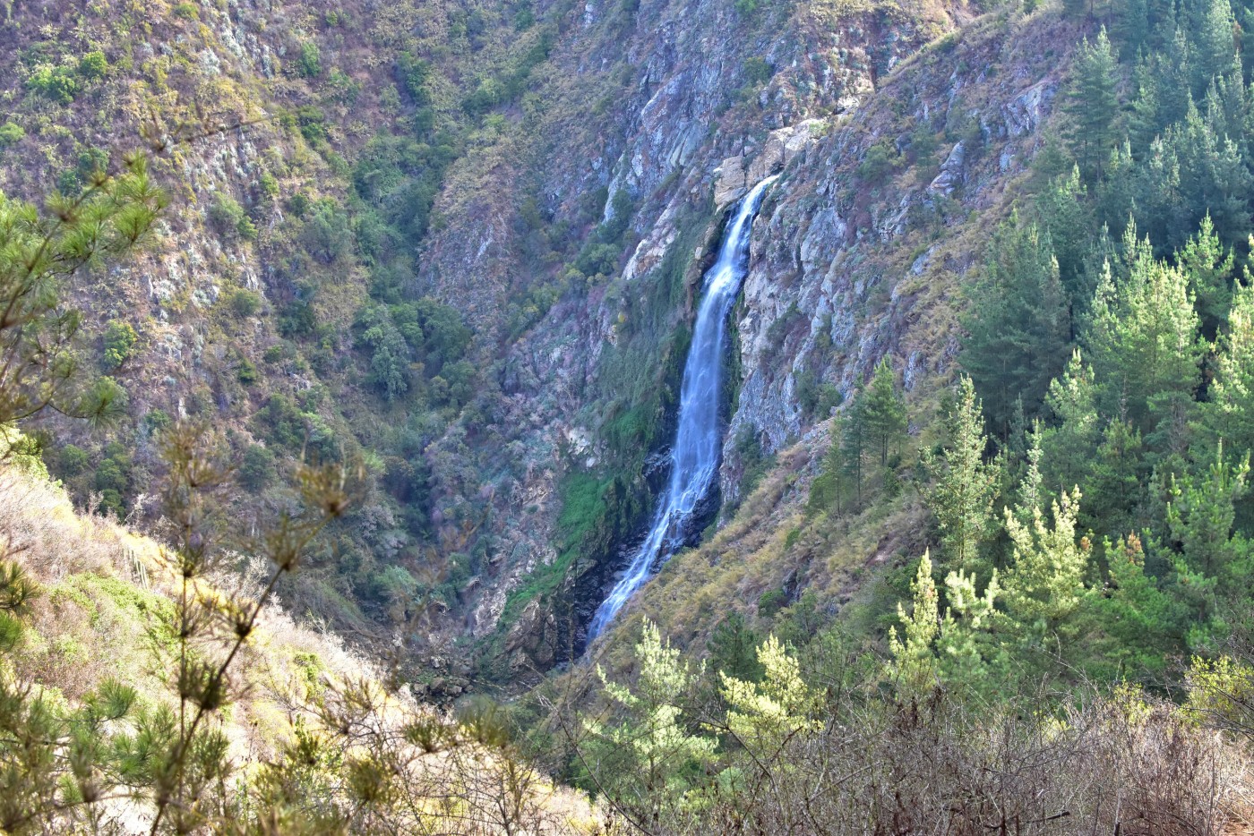 Salto del Agua