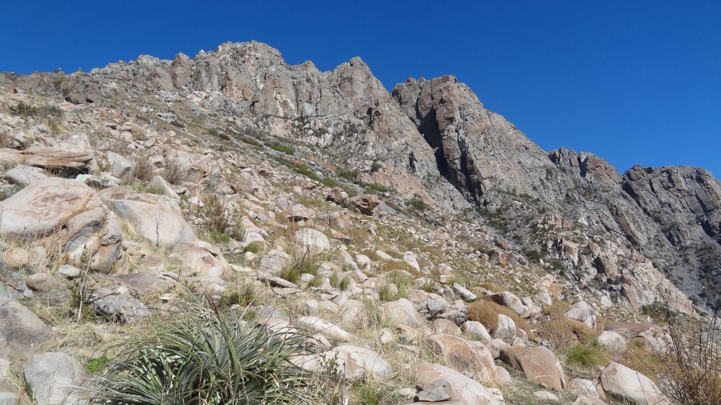 Cerro Talamí