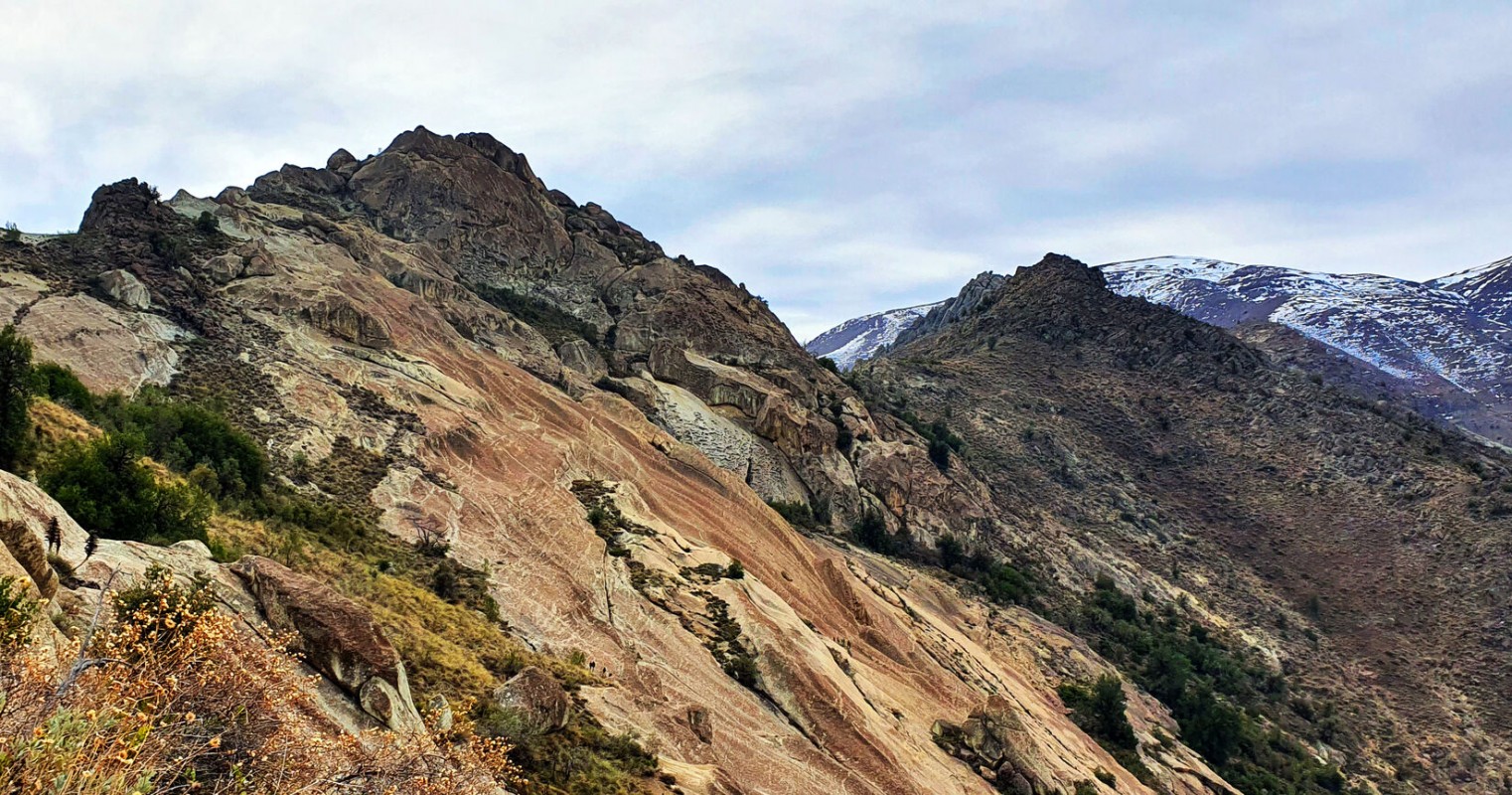 Lomas del Olivillo 