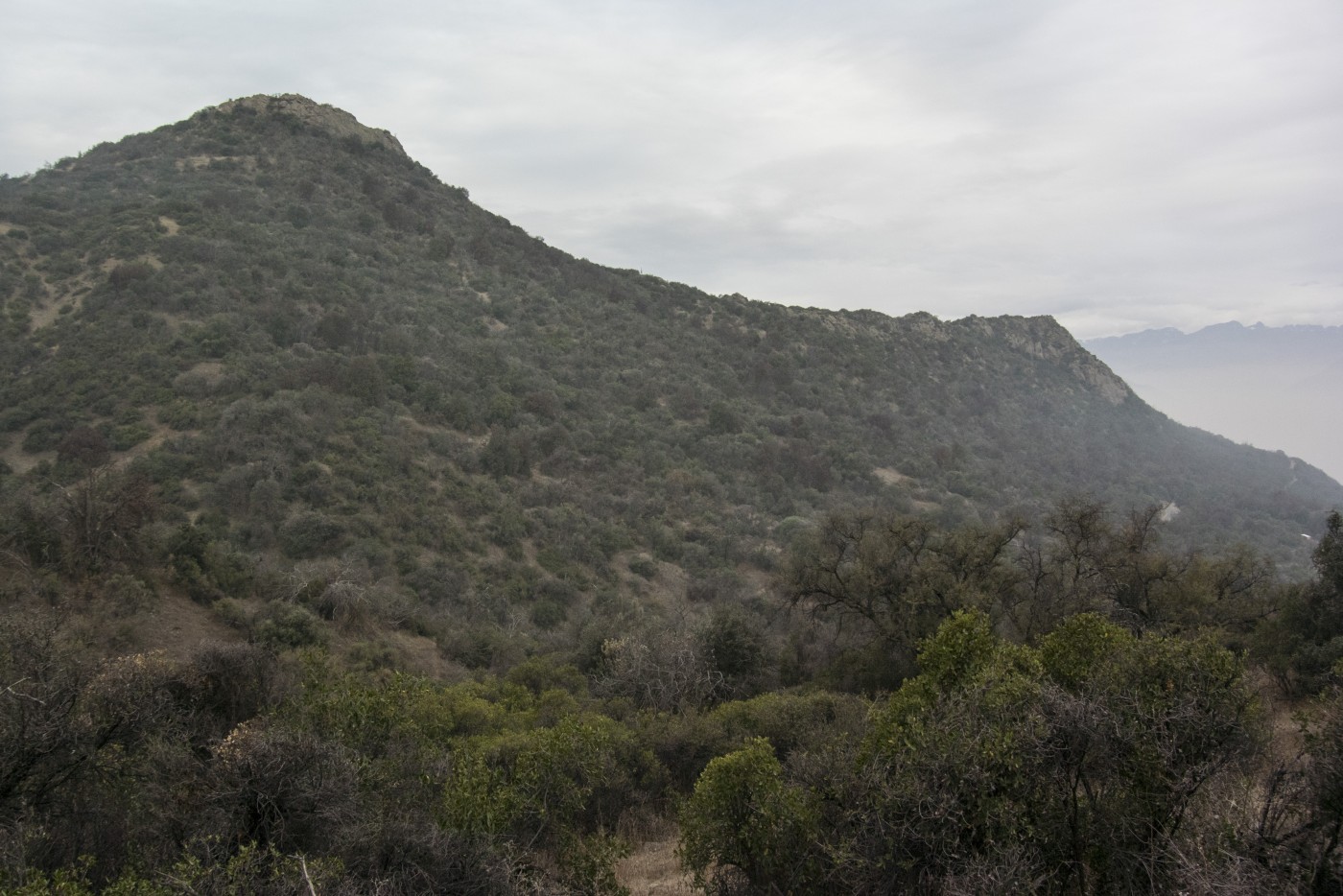 Cerro Manquehuito