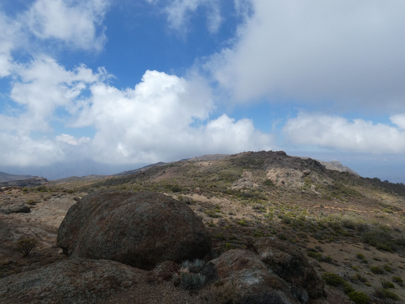 Cerro Portillo Alto