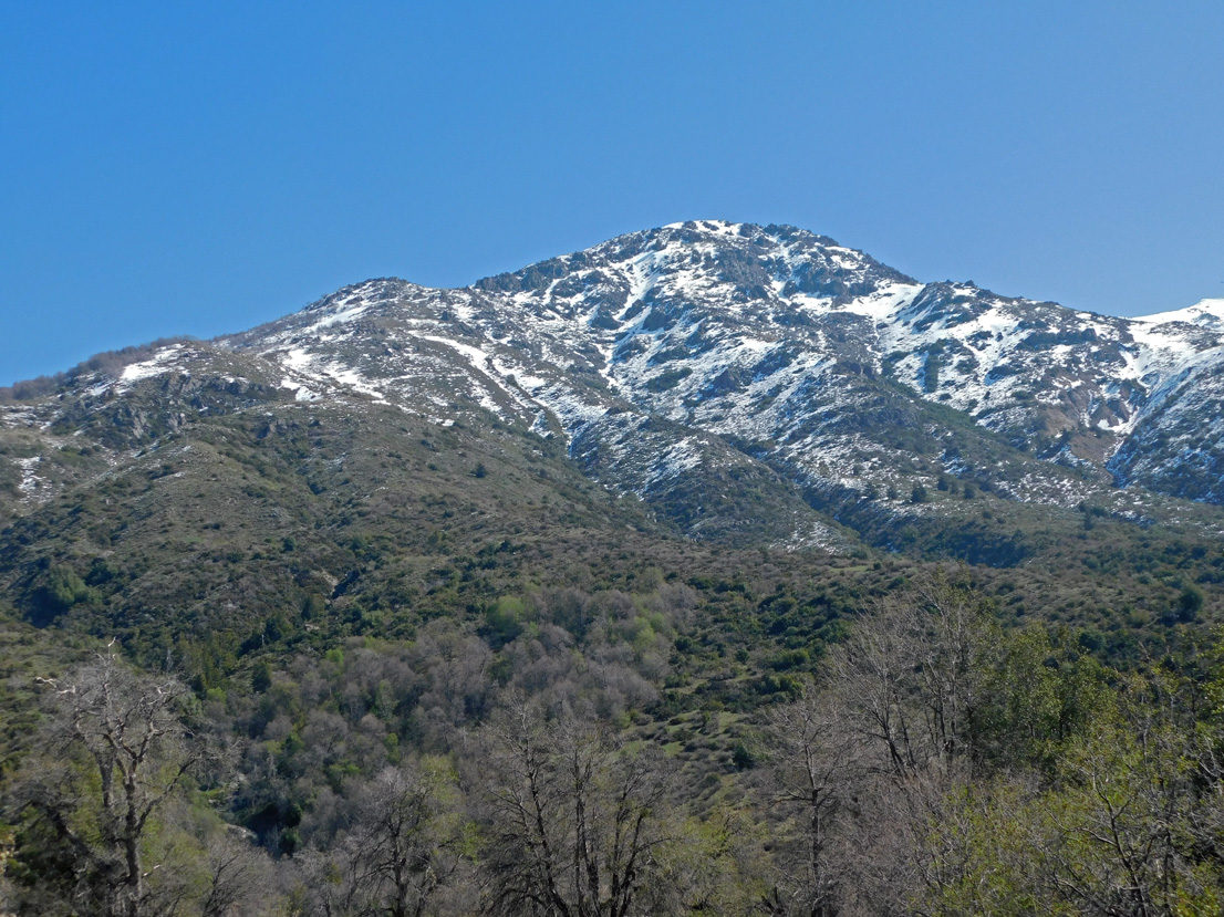 Cerro Rondadero