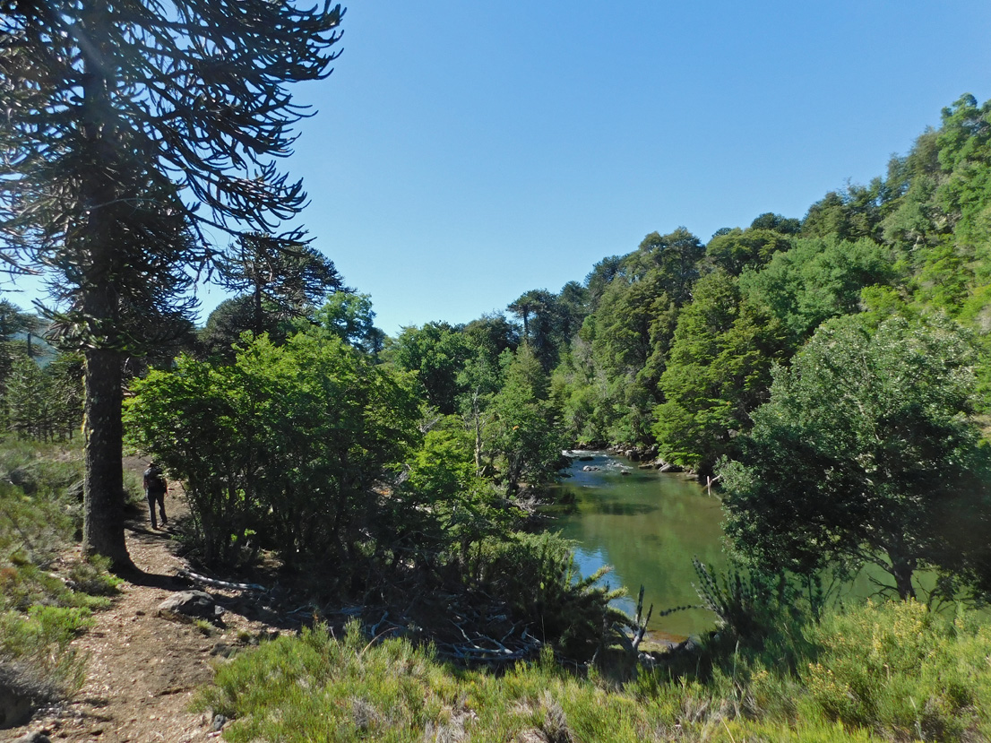 Río Ralco