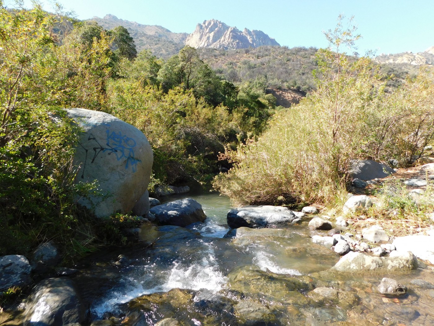 Bosque de Los Brujos