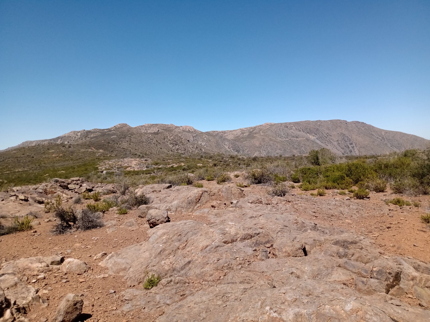 Cerro Alto de Lipangue