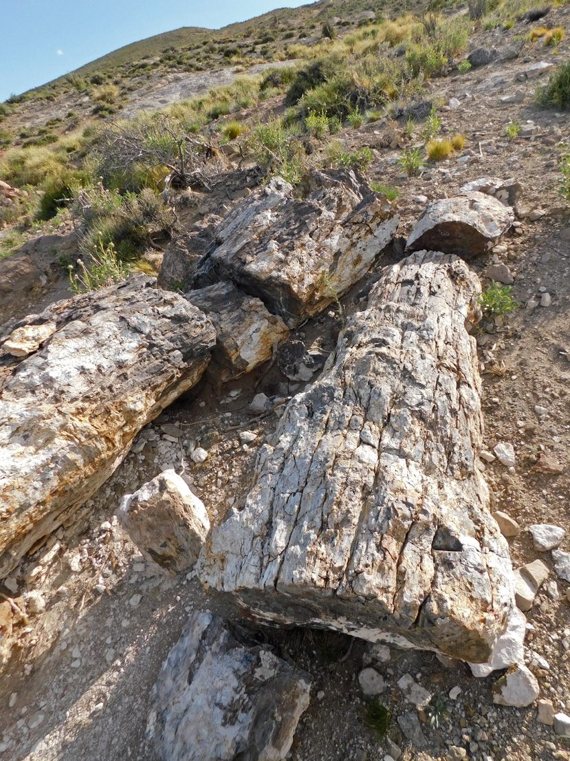 Bosque Pétreo de Llano Blanco
