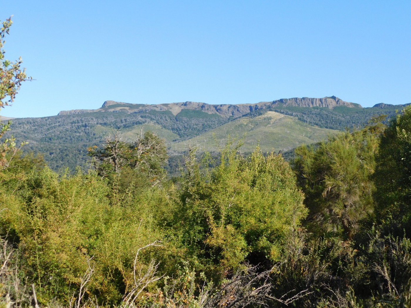 Cerro Las Planicies