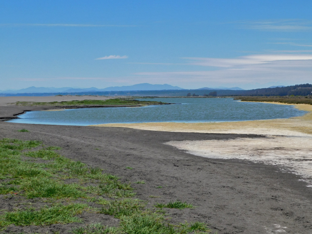 Laguna Albufera
