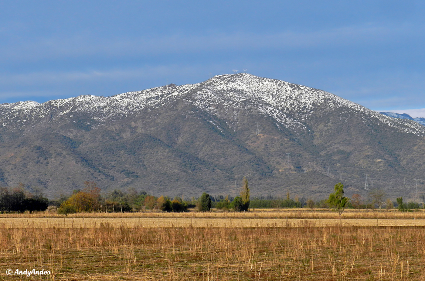 Monte del León