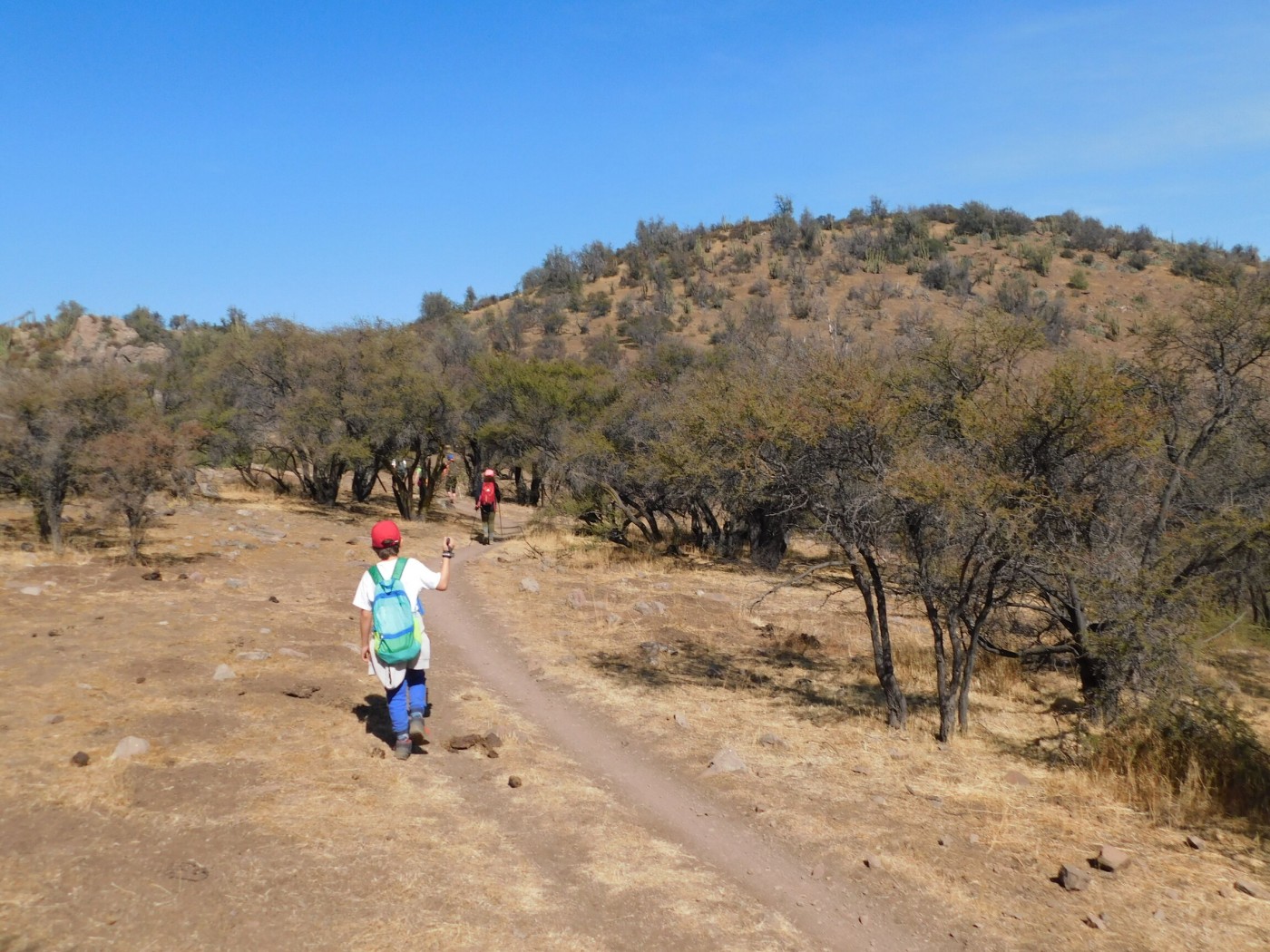Cerro Oreganillo