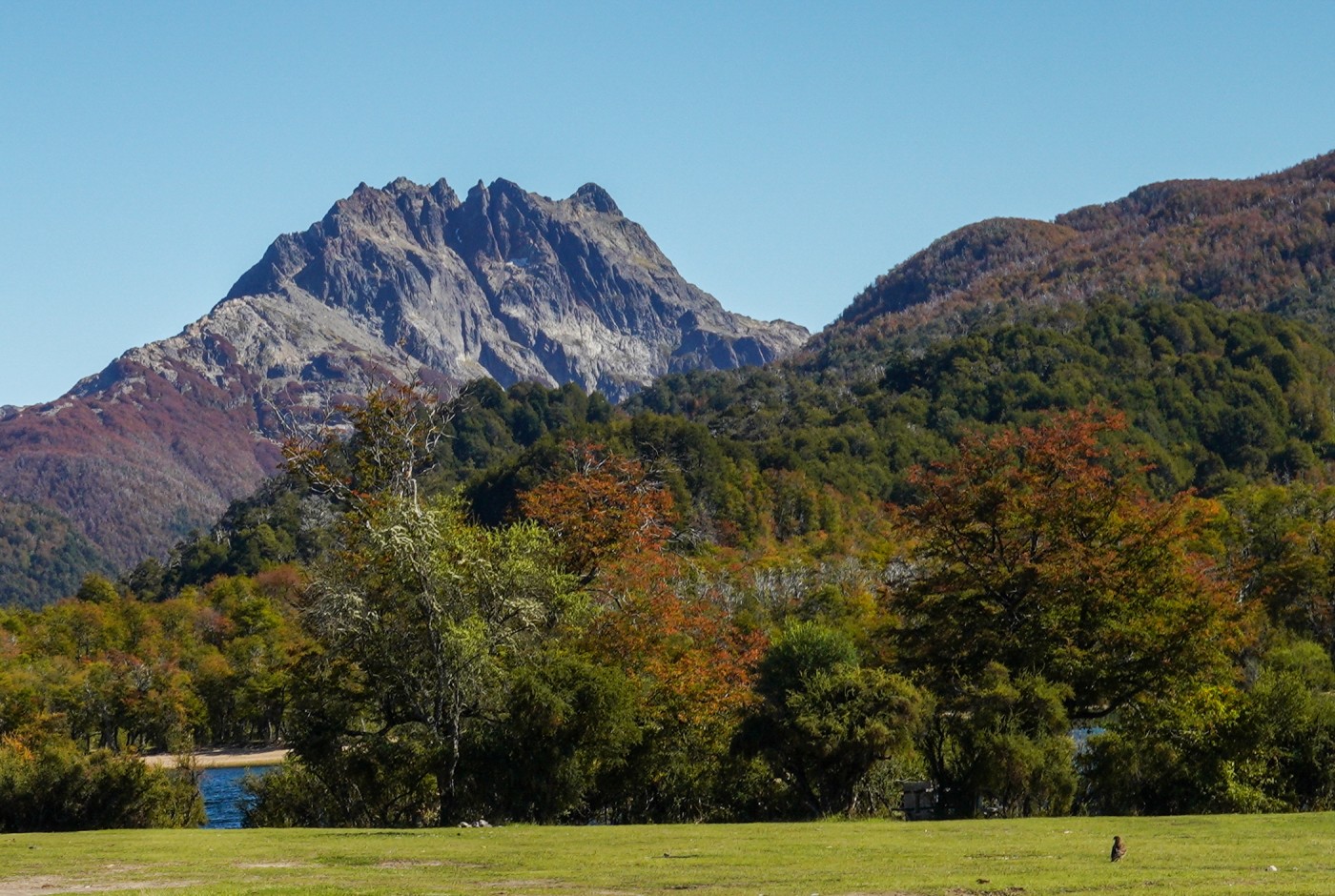 Cerro Crespo