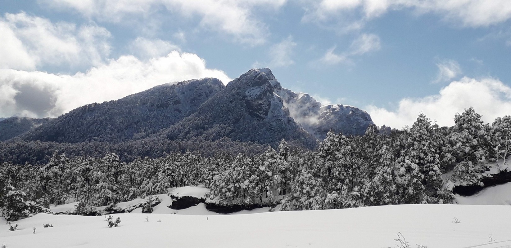Cerro Lihuén