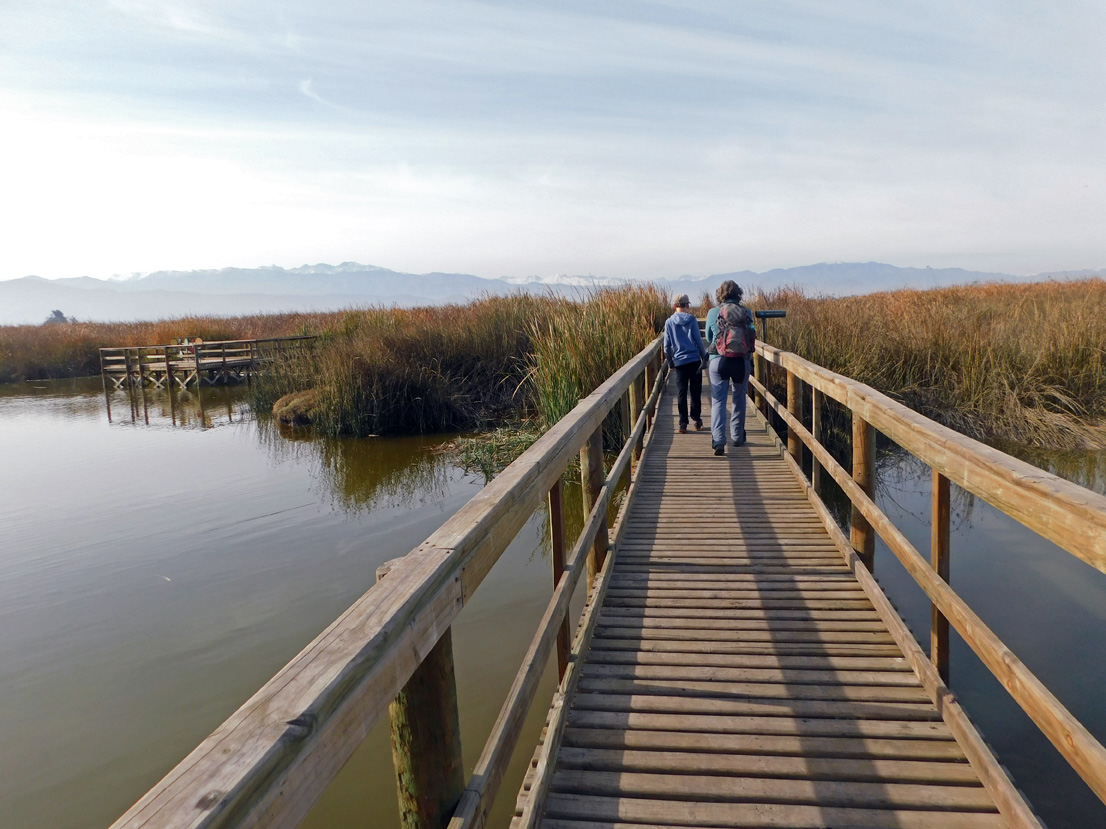 Laguna y Humedales de Batuco