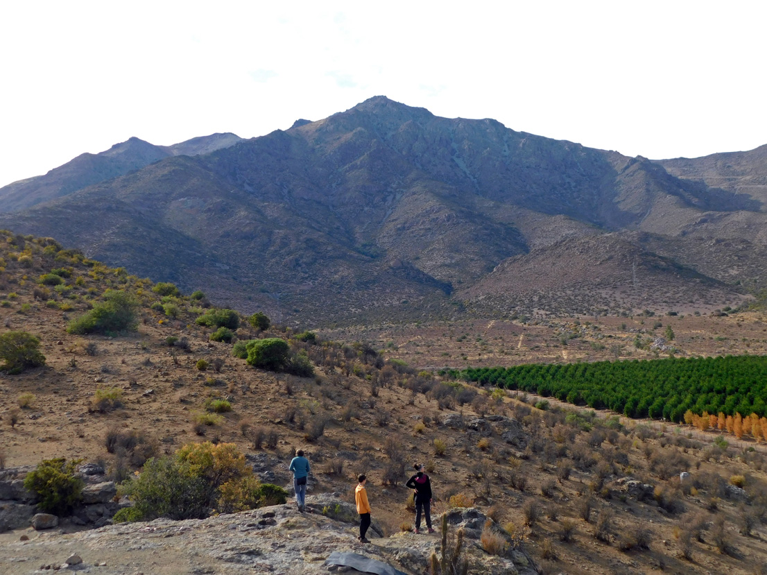 Cerro Maitén