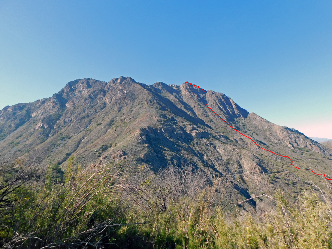 Ruta de Darwin