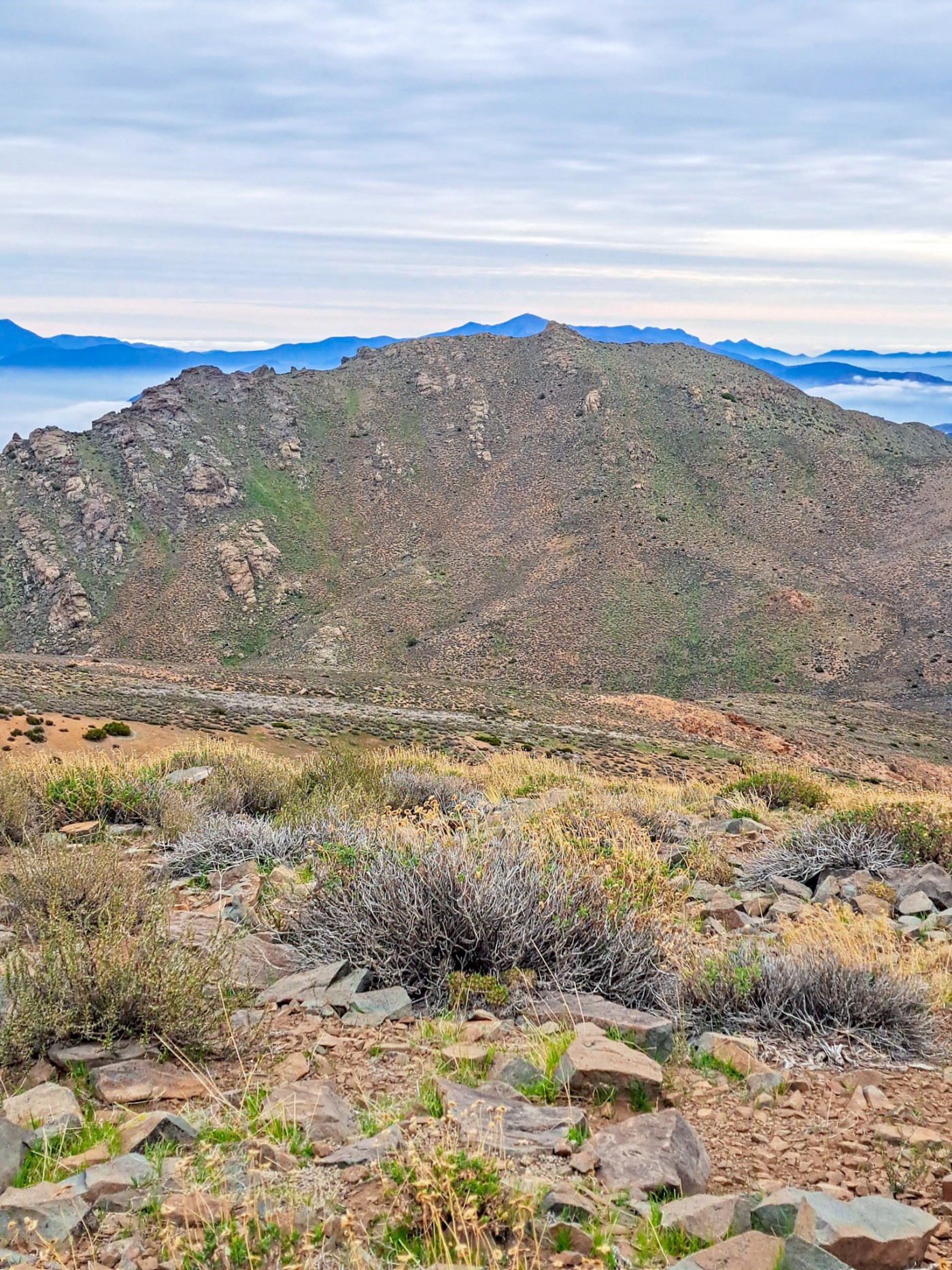 Cerro Chivato