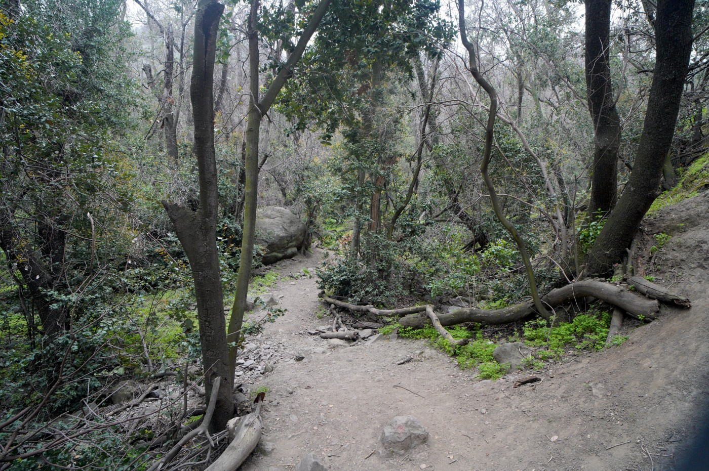Quebrada Agua del Palo - La Gruta 