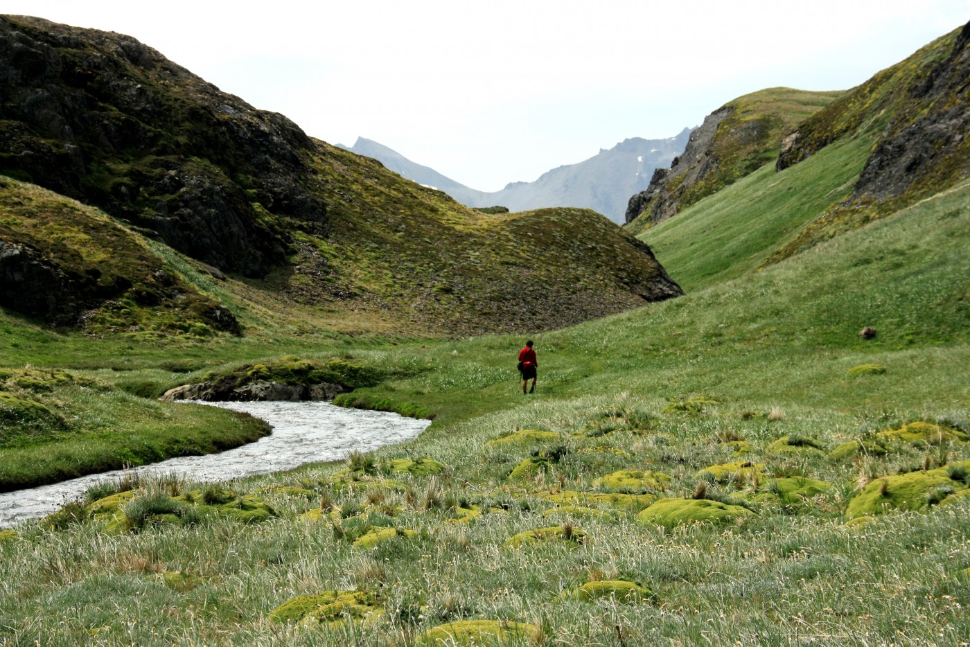 Laguna del Caminante y Paso de la Oveja