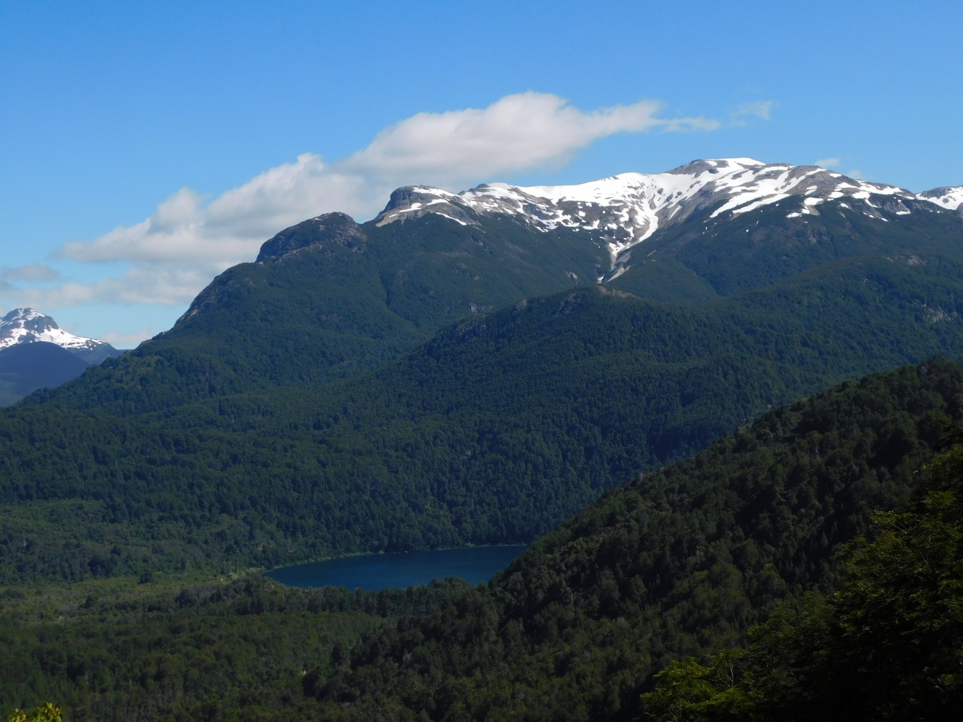 Cerro Alto El Petiso