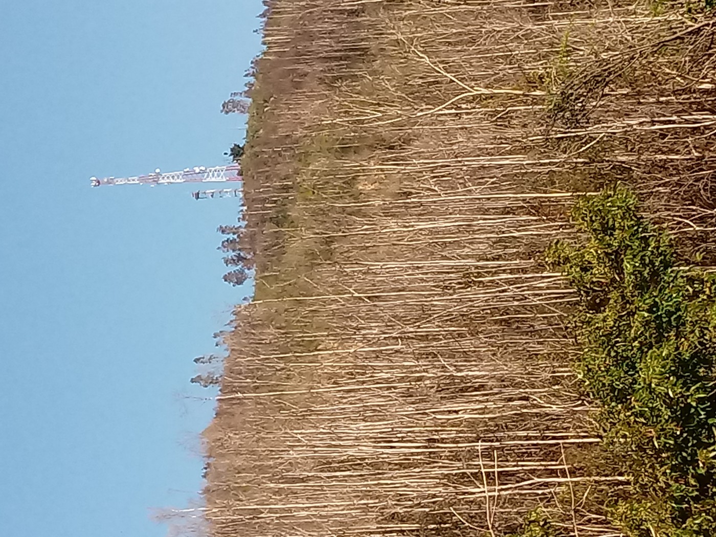 Sendero a la Antena - Ainavillo