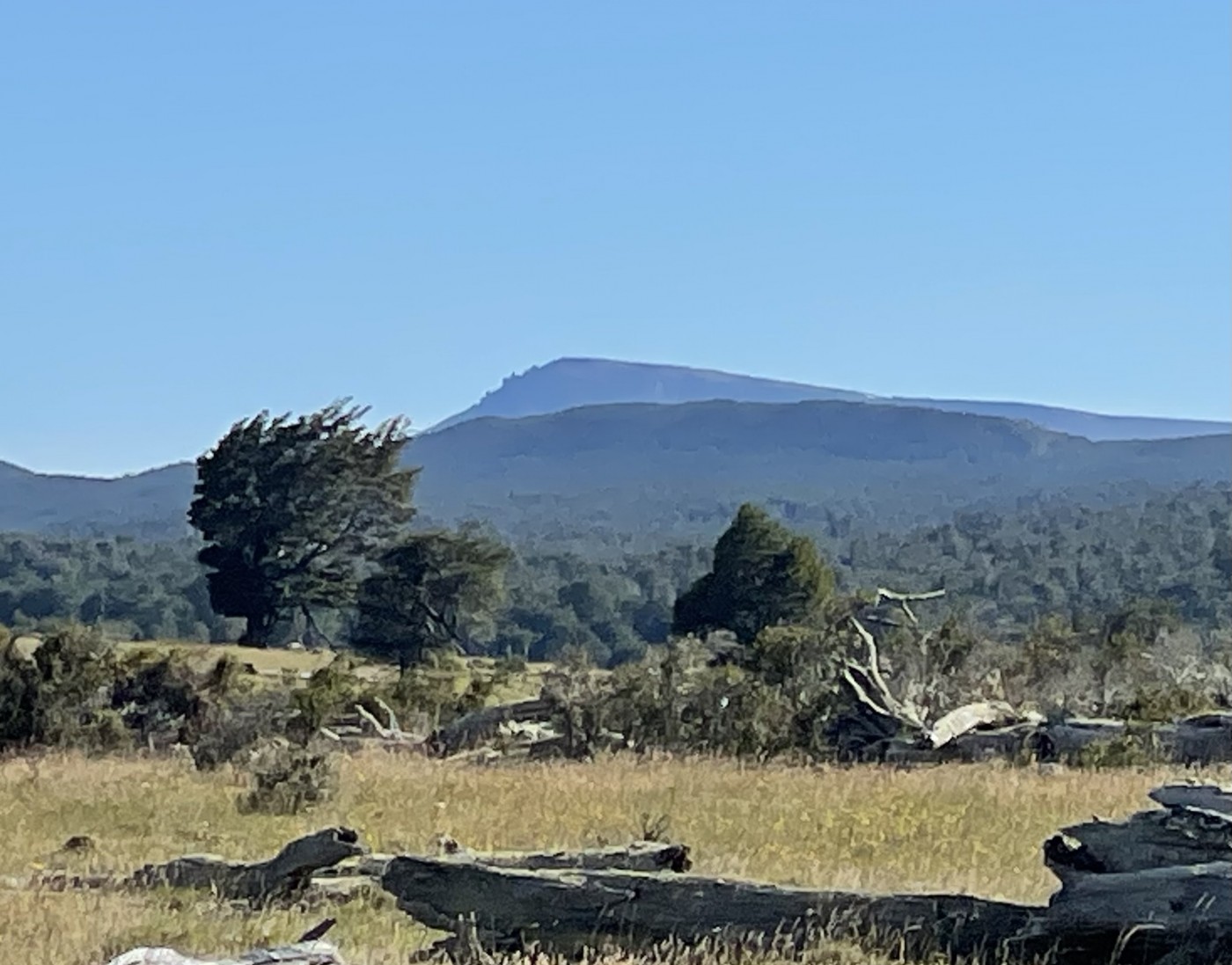 Cerro La Virgen (Magallanes)