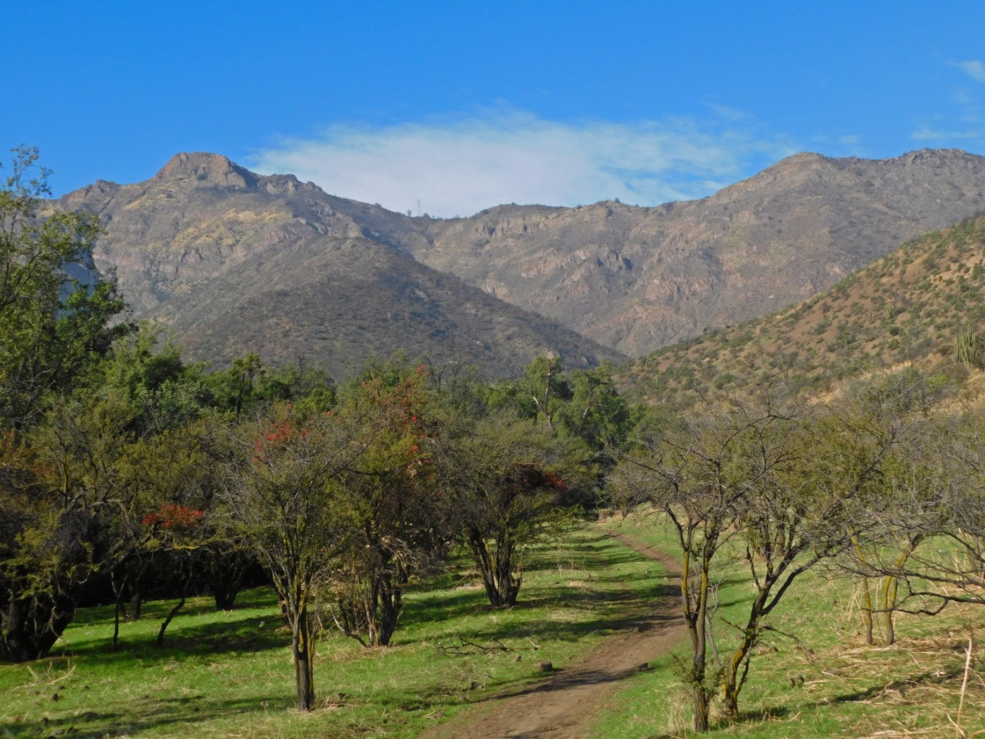 Cerro Chincolante