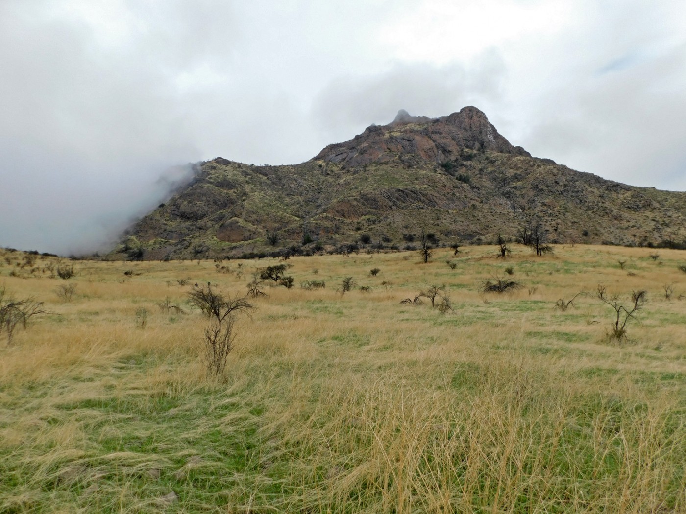 Cerro Alto Huechún