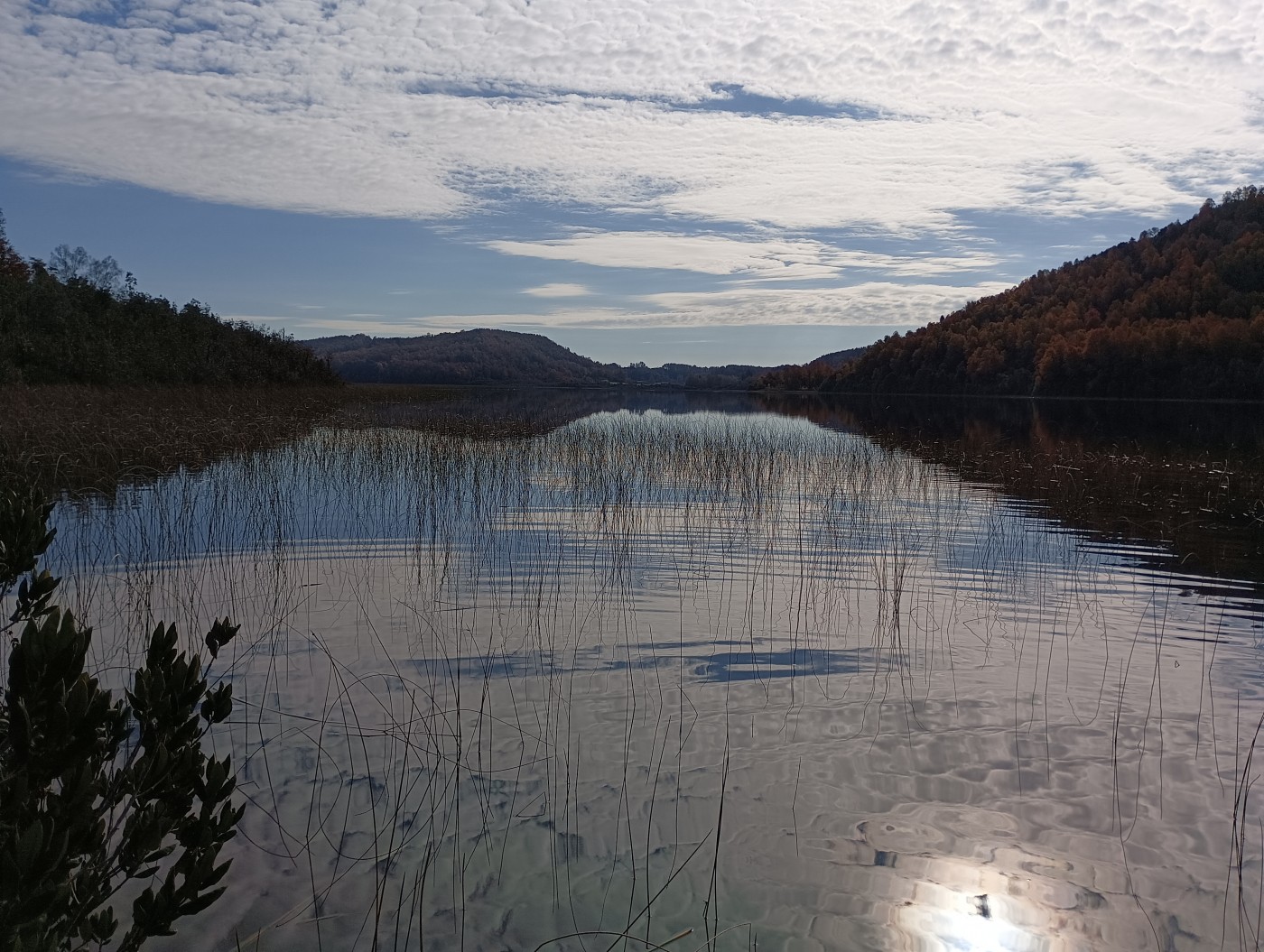 Sendero Lago Huilipilún