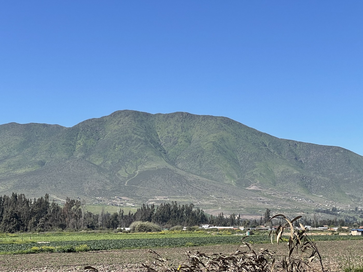 Cerro Cutún