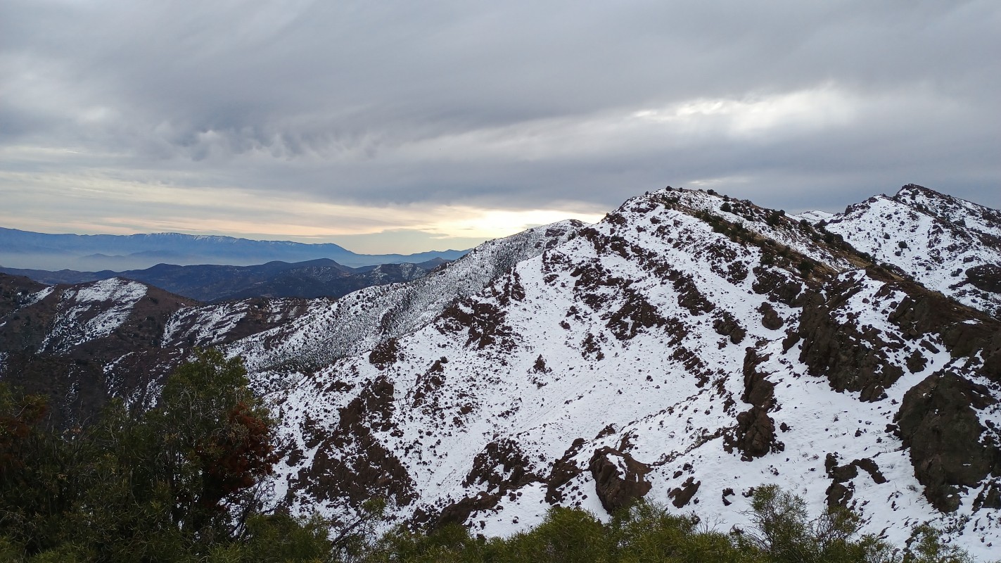 Cerro Alto El Olivillo